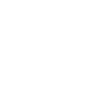Puli