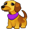 Dog Cartoon Cute Funny Dogs Animal Animals Puppy 6