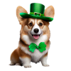Corgi