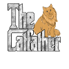 Kattefar Catfather Crazy Cat Far Kitty Daddy