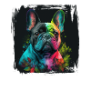 Dogs French Bulldog Dog lovers