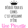 Désolée pour les cernes je suis une princesse