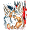 Berger Allemand Malinois