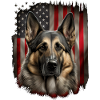 Berger Allemand Malinois