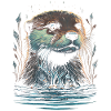 Otter sea otter