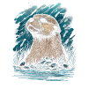 Otter sea otter