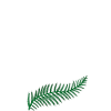 ça gère la fougère