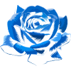 bleu rose