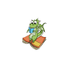 Bücher Drache Drachen