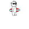 Urlaub Surfen Meer Bär