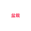 Judo Martial Arts-JUDO Judoka