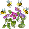 Insects
