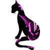 Katze