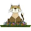 Katze