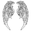 Ailes d’ange