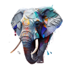 Wild and free - elephant