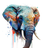 Sauvage et libre - éléphant