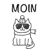 Moin Katze mit Sonnenbrille