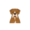 Boxer bedstefar tysk bokser hund gave