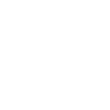 Frisbee Dog