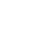 Handball Handball Dog