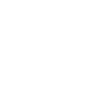 VTT VTT Chien