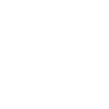 Parachutist Parachuting Dog