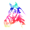 pferdekopf,pferd,aquarell,pink,malerei,bunt