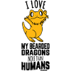 Bearded Dragon Dragon Lizard