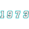 1973 Year Number