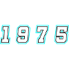1975 Year Number