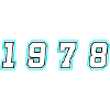 1978 Year Number