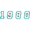1980 Year Number