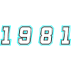 1981 Year Number