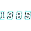 1985 Year Number
