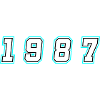 1987 Year Number