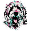 white cockapoo portrait