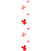 papillons et fleurs
