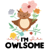 Eule Vogel Vögel Geschenk