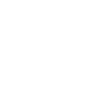 Programmdirektor