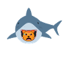 Shark Eating Cat