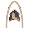 Shark Eating Cat