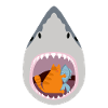 Chat mangeur de requins