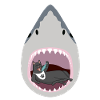 Chat mangeur de requins