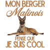Berger malinois