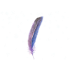 Source