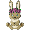 Hanni Hase