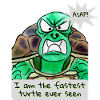 Fastest turtle ever seen