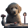 Caniche Saint-Valentin