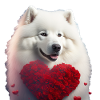 Samoyoyed Valentine's Day